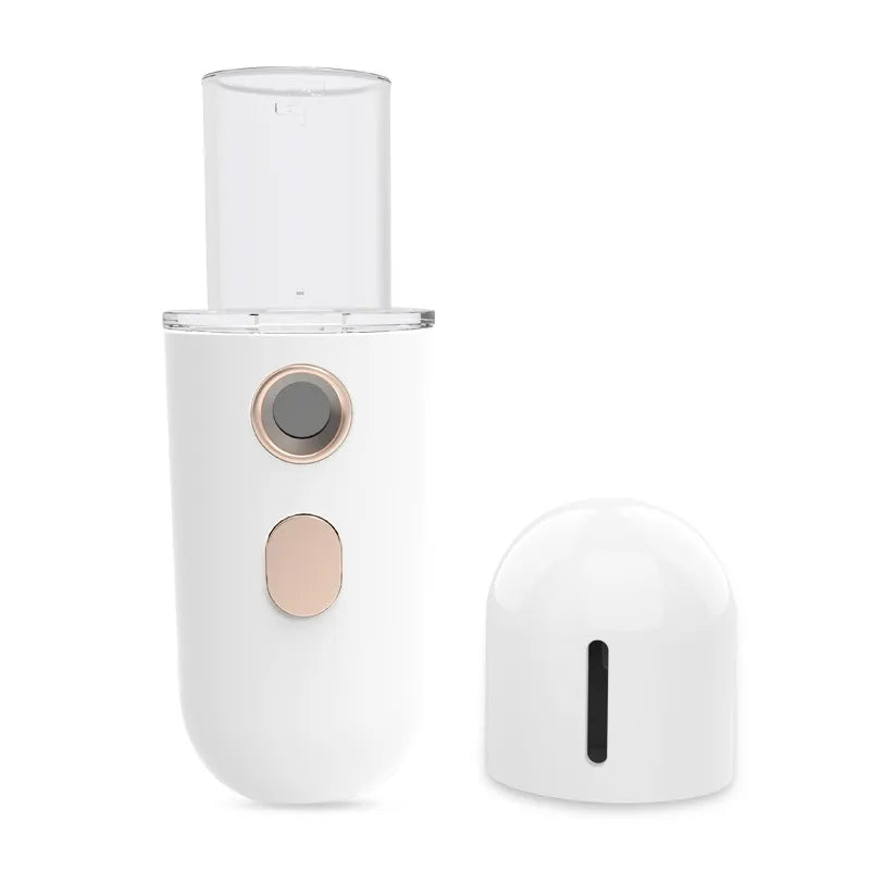 Nano Moisturizer Steam Facial Humidifier